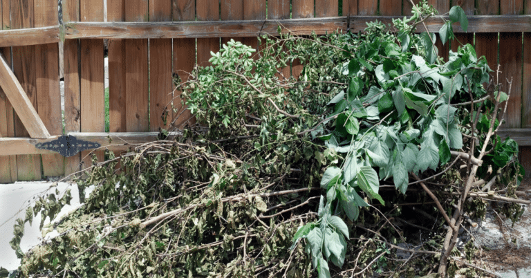 Amigo Rubbish Removal 12