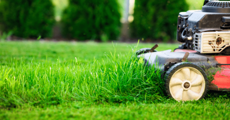 Amigo Rubbish Removal 2 2