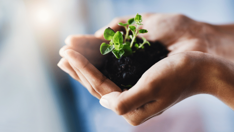 Cleaner and Greener Future