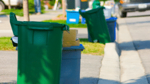 How to Avoid Council Rubbish Pickup Hassles in Sydney (2)