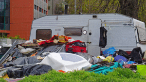 Sydney’s Council Clean-Ups Guide