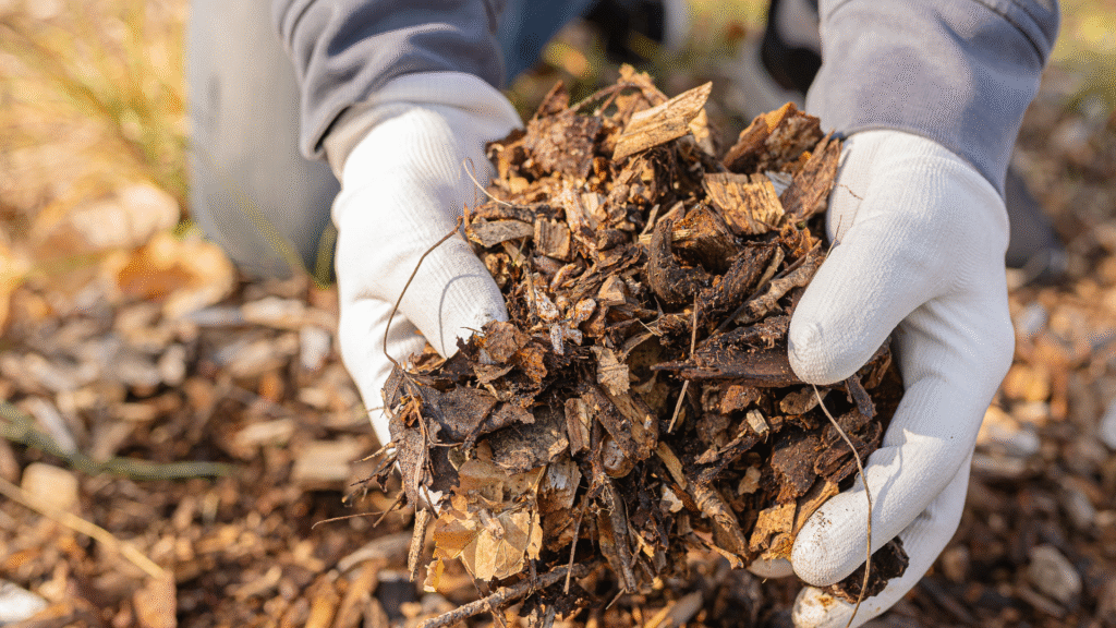 Winter Garden Waste Removal Sydney