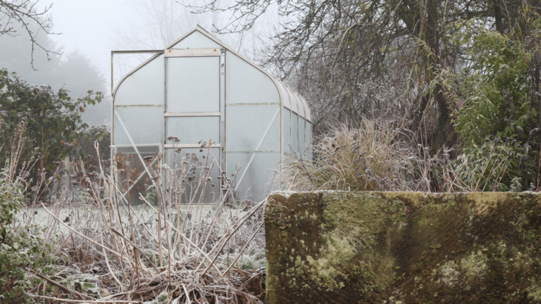 Winter Garden Waste Removal Sydney – Clear Storm Debris Fast
