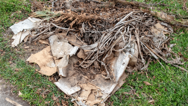 Eco Friendly Garden Rubbish Removal Recycling and Disposal Tips