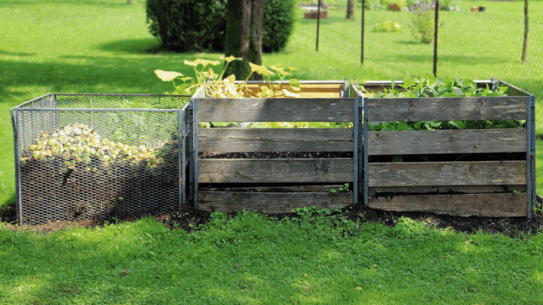 Garden Rubbish Removal Keep Your Outdoor Space Clean and Green