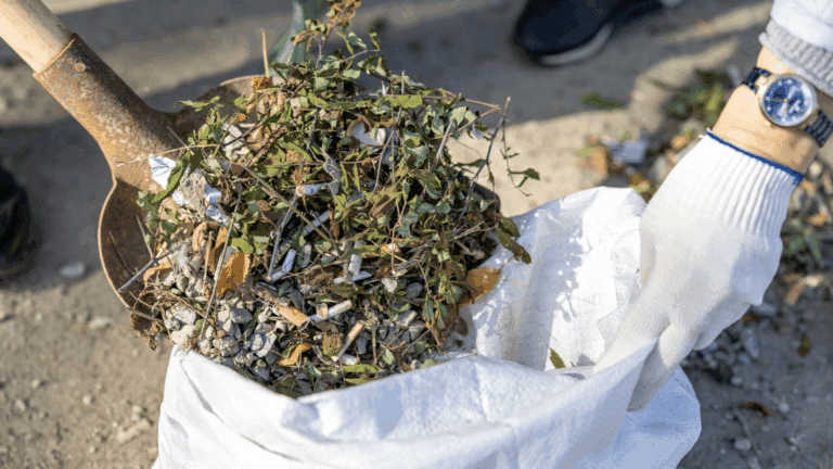 Garden Rubbish Removal Keep Your Outdoors Clean and Green