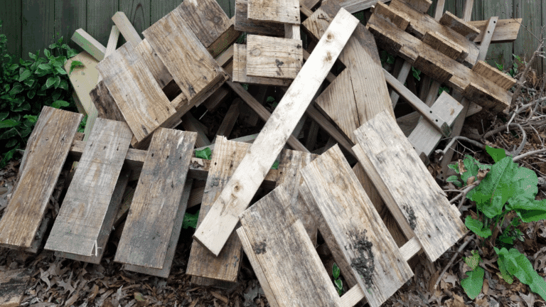 Junk Removal Sydney Fast and Affordable Solutions