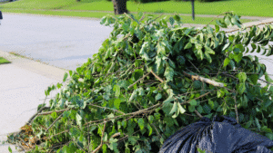 The Benefits of Professional Garden Rubbish Removal in Sydney