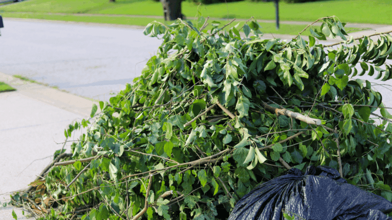 The Benefits of Professional Garden Rubbish Removal in Sydney