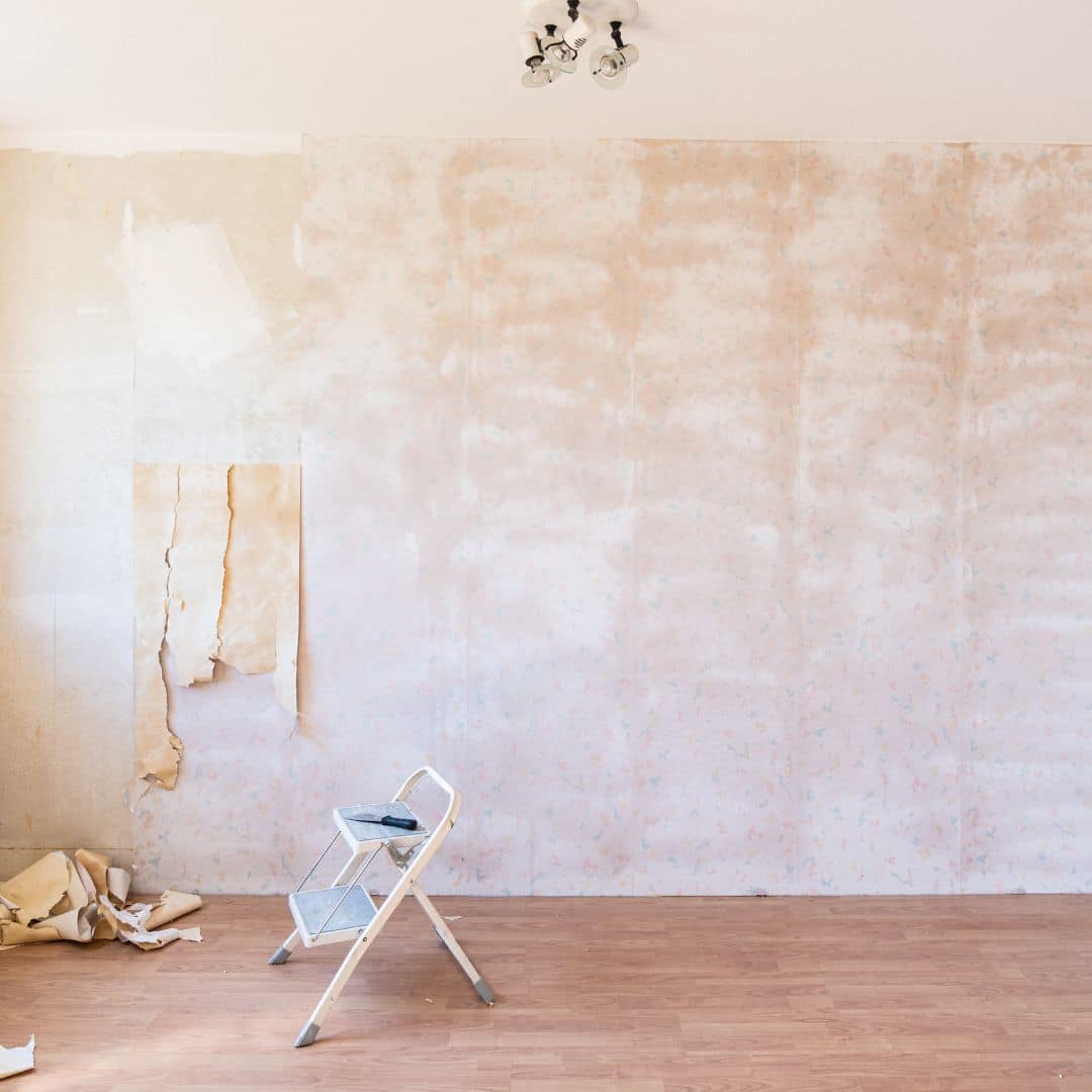 Wall Removal 1